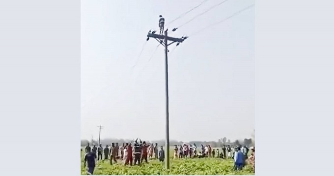 রাজশাহীতে মোবাইল না দেওয়ায় বিদ্যুতের খুঁটিতে কিশোর  